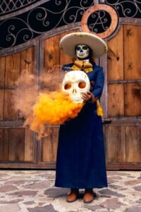 pexels photo 18427804